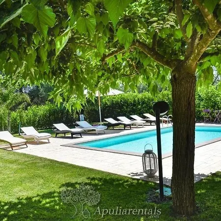 Calypso With Pool